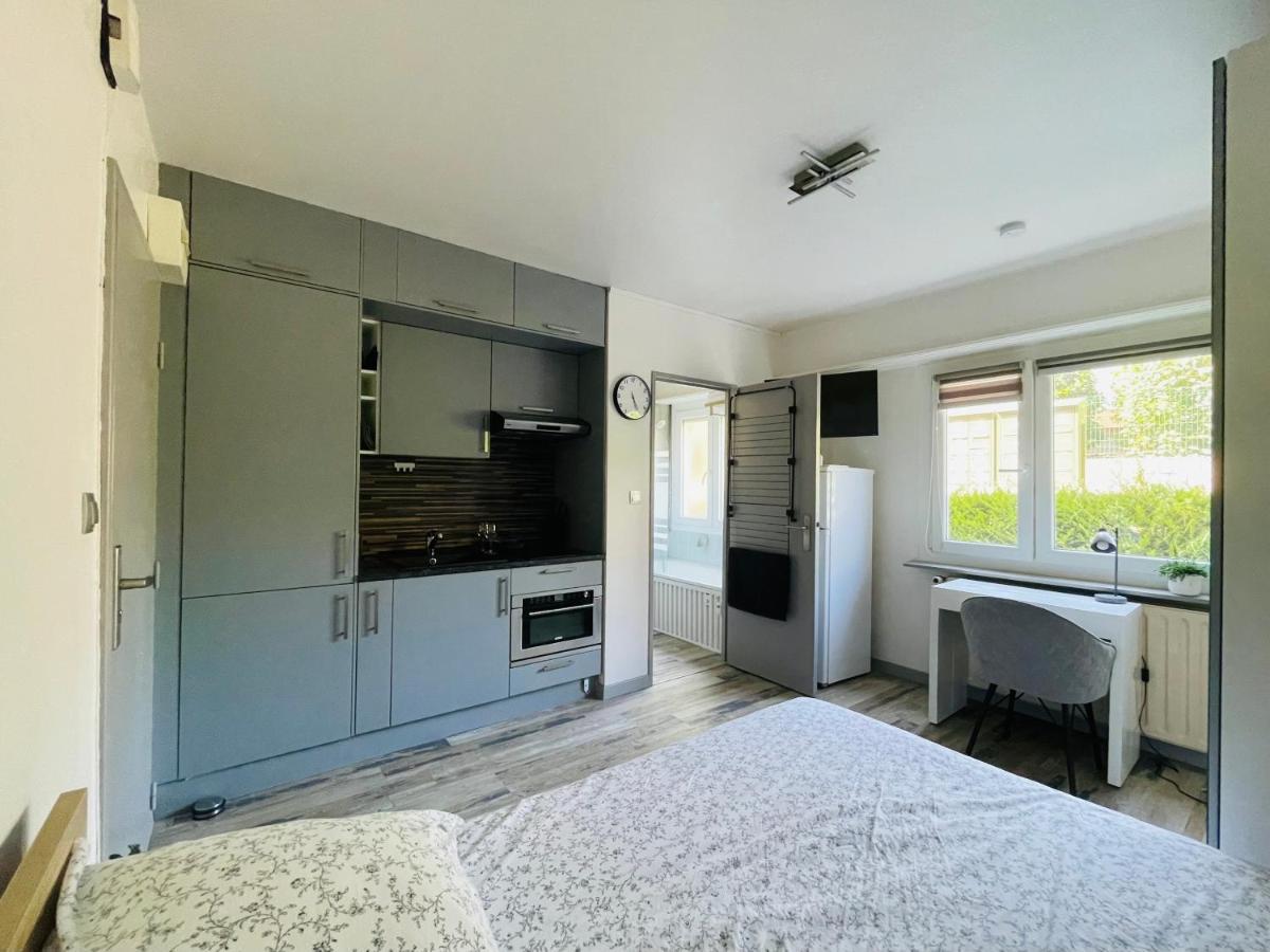 Dnn - Stylish Studio - Free Wifi, Netflix And Parking - Min Away To Basel And Airport - Dishwasher, Washing Machine Saint-Louis  Eksteriør billede