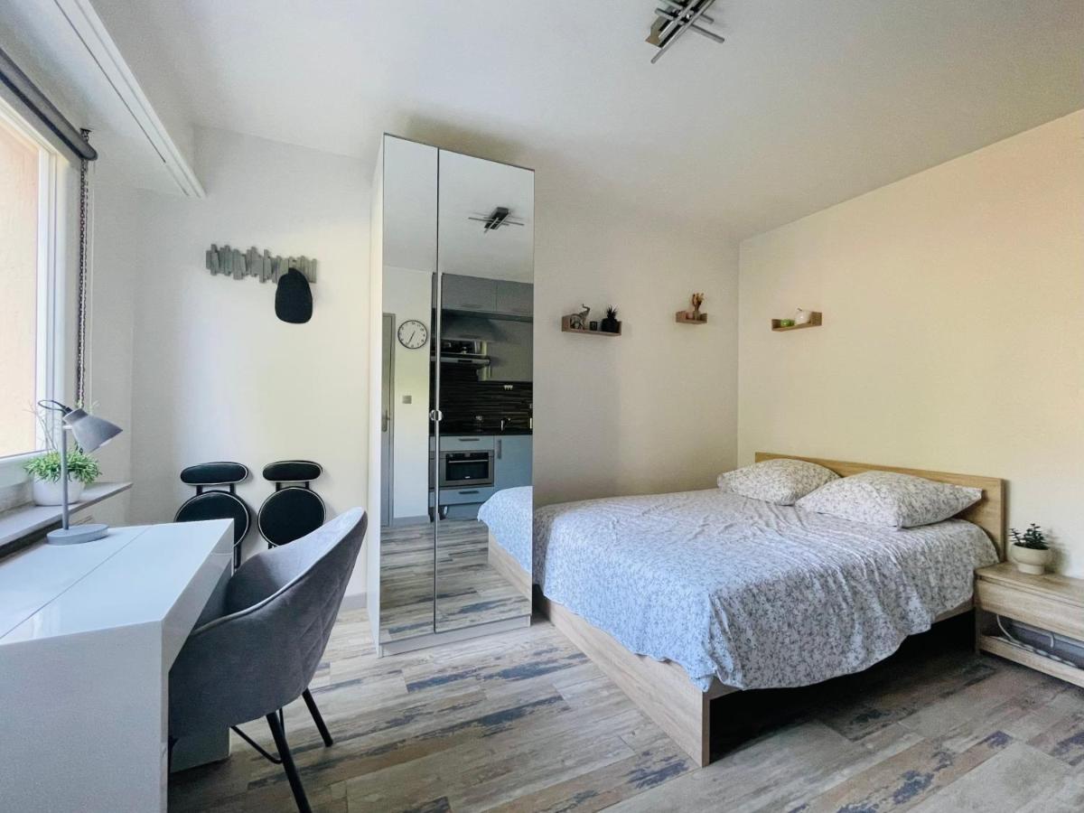 Dnn - Stylish Studio - Free Wifi, Netflix And Parking - Min Away To Basel And Airport - Dishwasher, Washing Machine Saint-Louis  Eksteriør billede