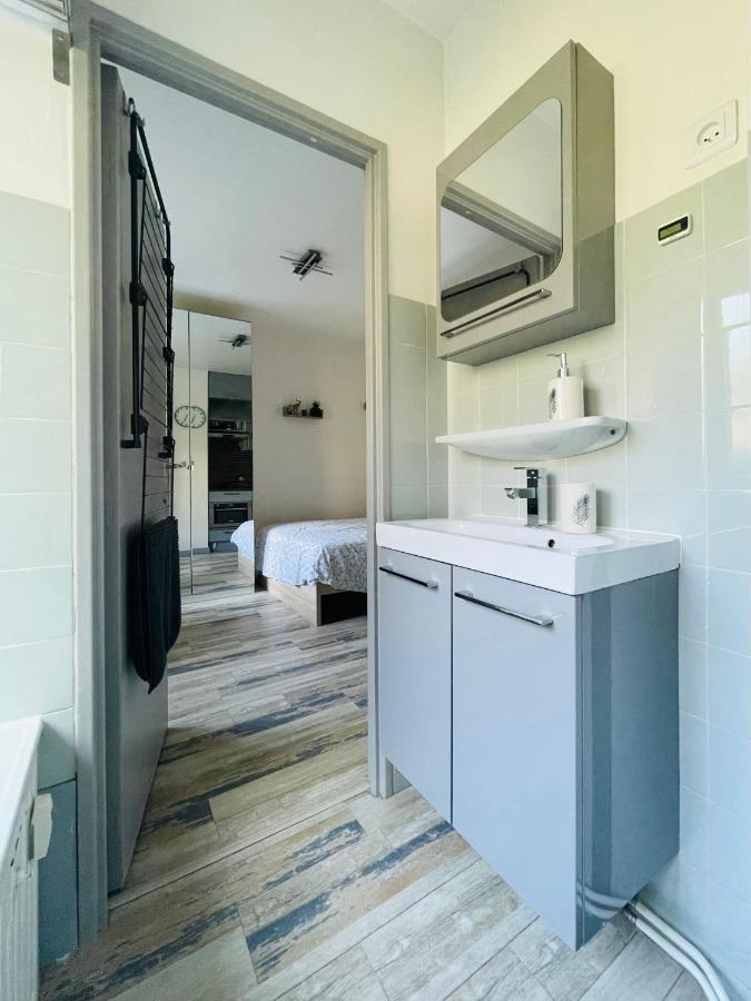 Dnn - Stylish Studio - Free Wifi, Netflix And Parking - Min Away To Basel And Airport - Dishwasher, Washing Machine Saint-Louis  Eksteriør billede