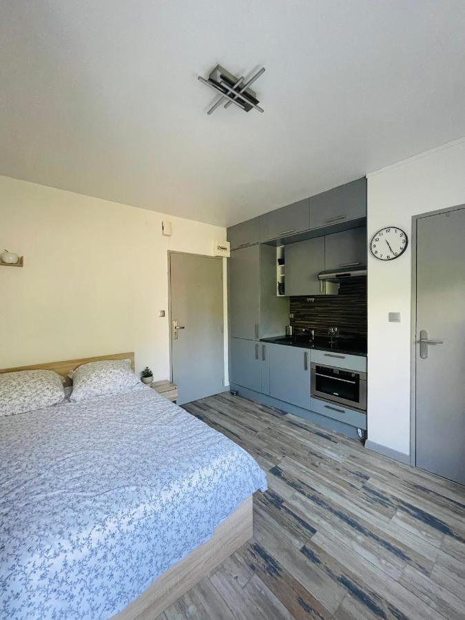 Dnn - Stylish Studio - Free Wifi, Netflix And Parking - Min Away To Basel And Airport - Dishwasher, Washing Machine Saint-Louis  Eksteriør billede