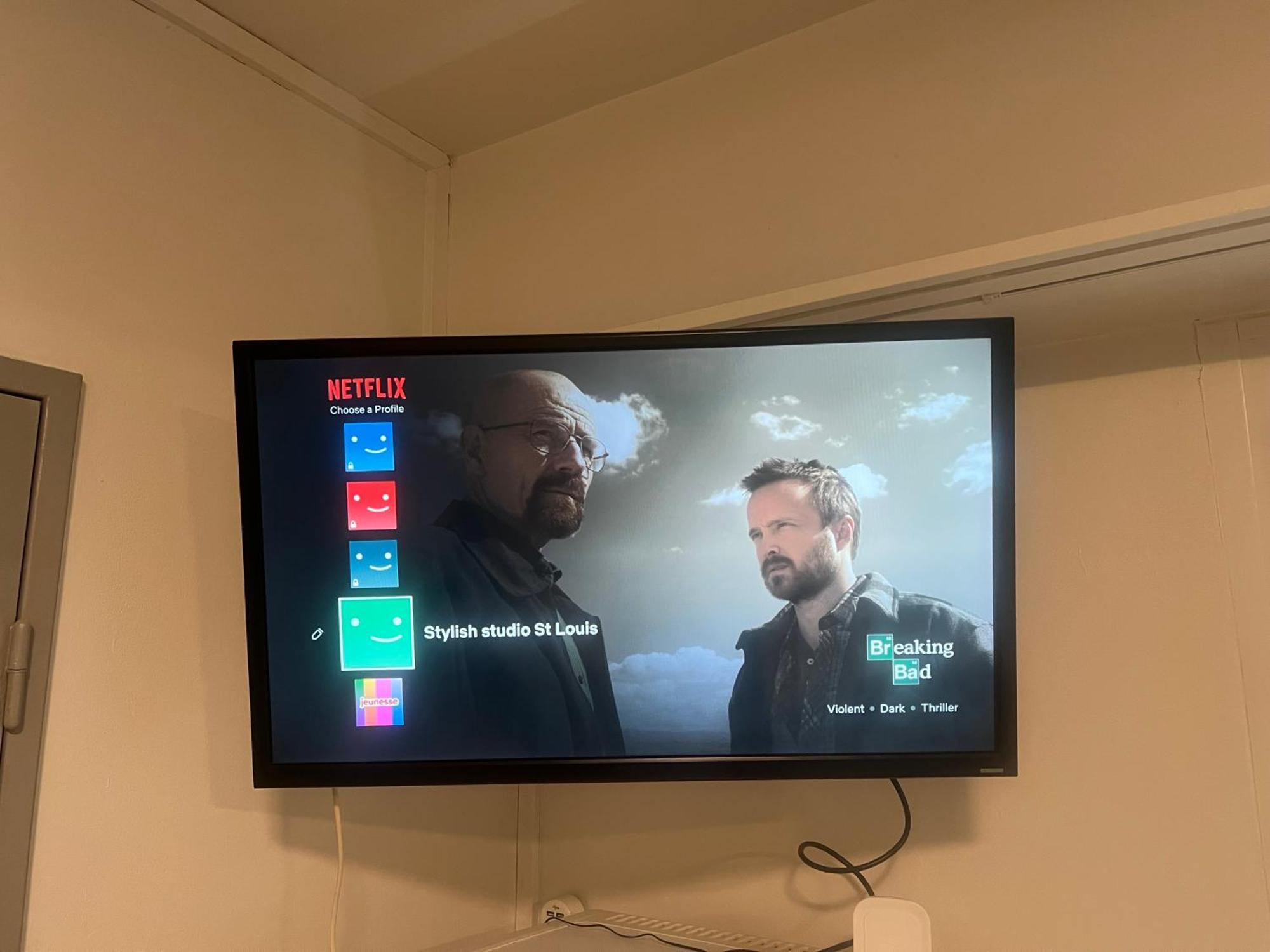 Dnn - Stylish Studio - Free Wifi, Netflix And Parking - Min Away To Basel And Airport - Dishwasher, Washing Machine Saint-Louis  Eksteriør billede